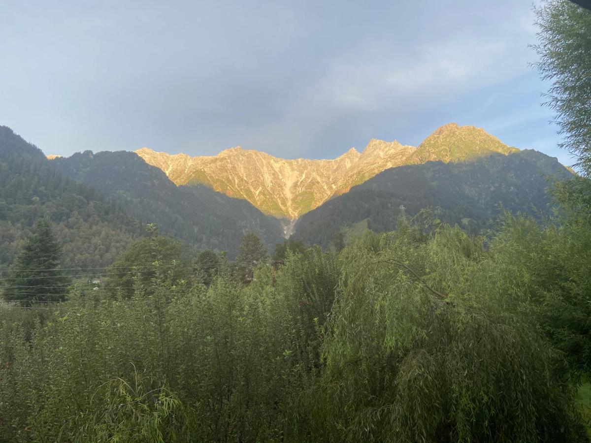 Solang Valley Resort 마날리 외부 사진