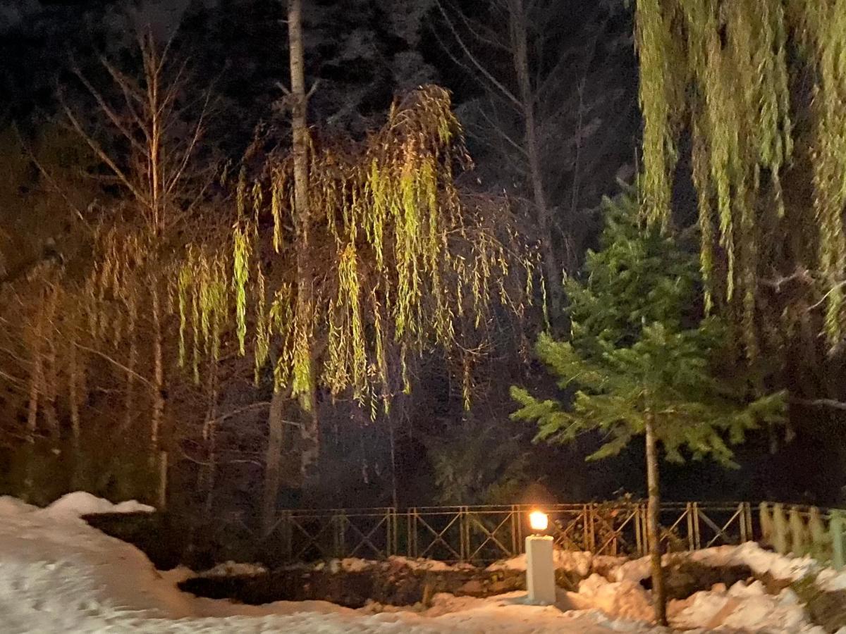 Solang Valley Resort 마날리 외부 사진